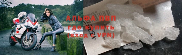 сатива Баксан
