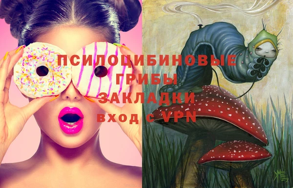 сатива Баксан